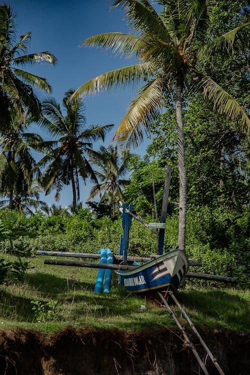 Quartieri di Bali per nomadi digitali