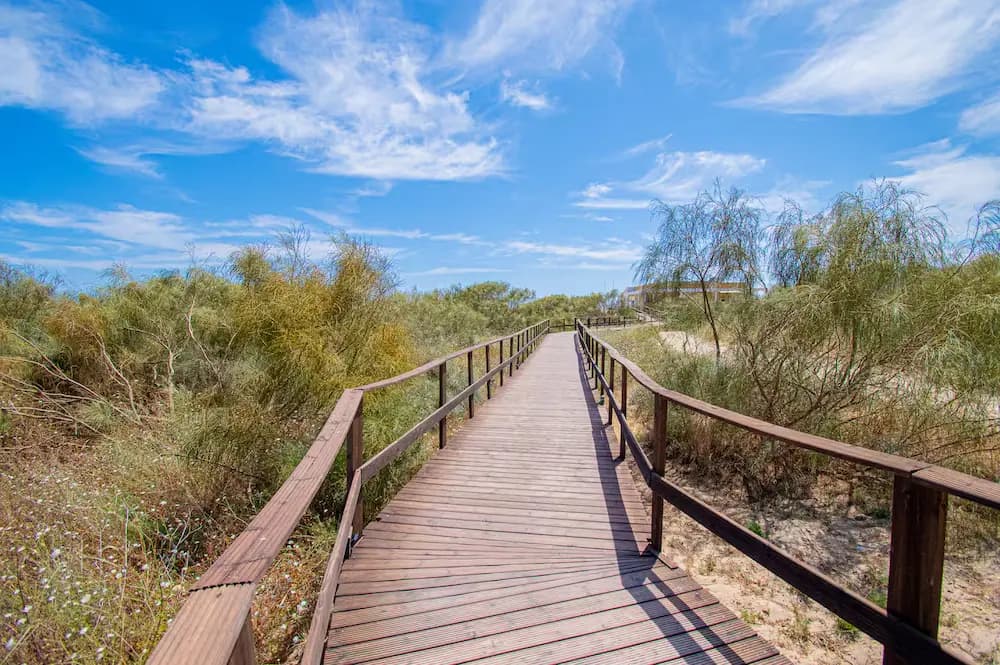 Passerella in legno che conduce alla spiaggia tra le dune